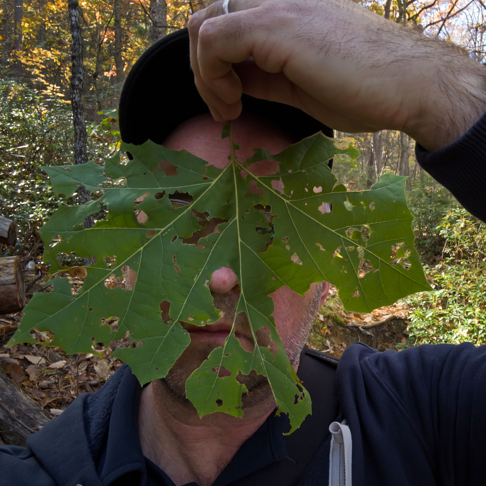 What returns - revelation 1