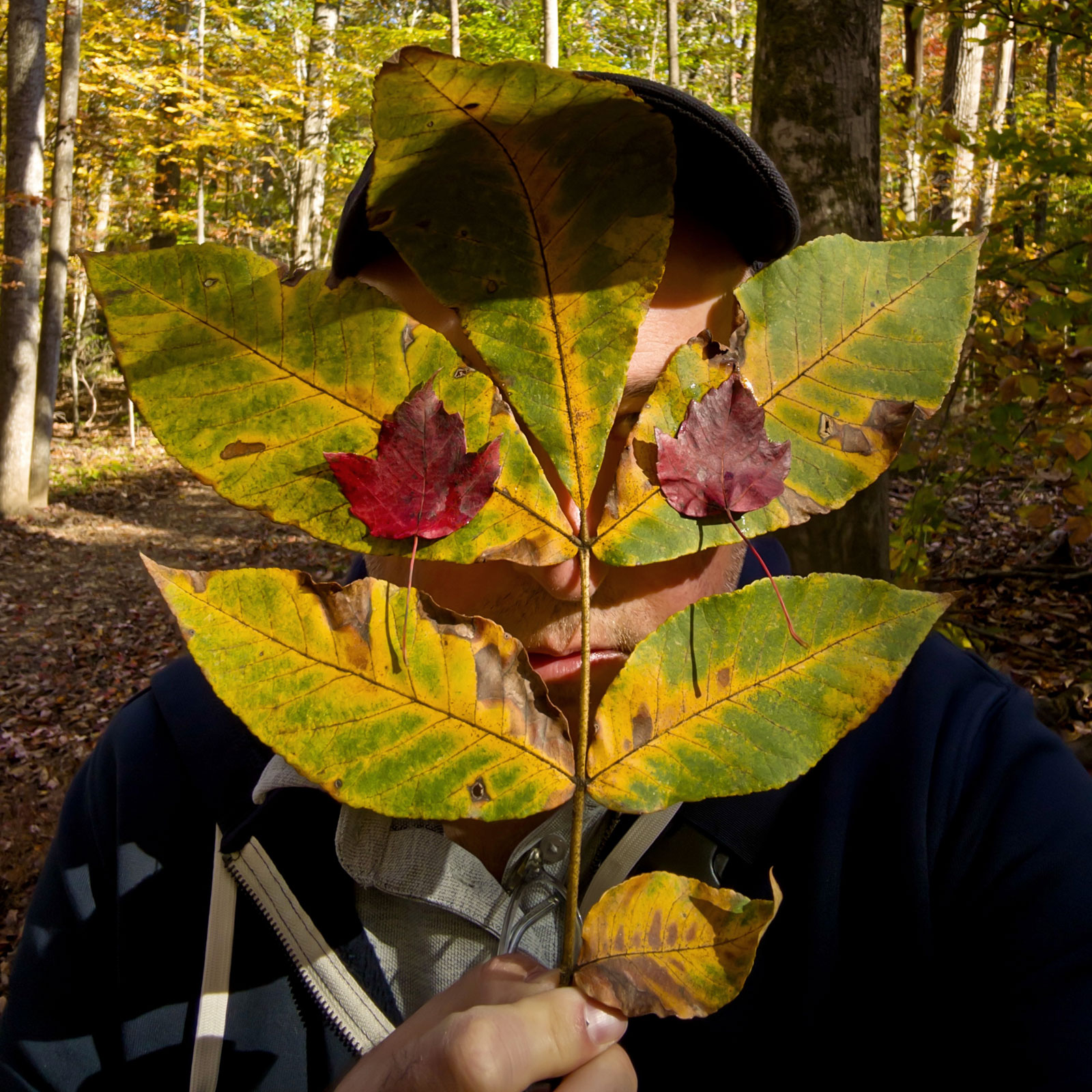 What returns - transformation 1